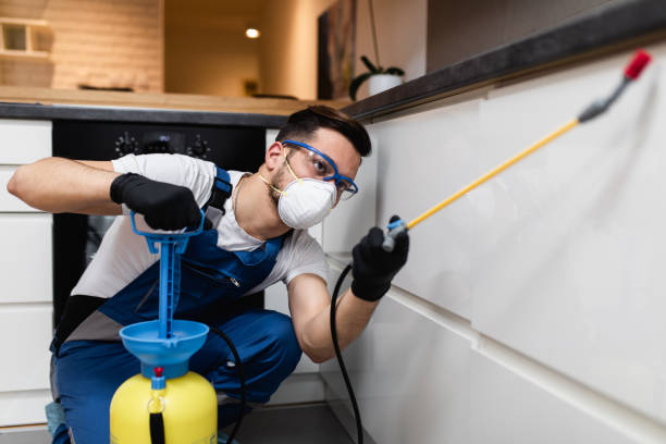 Best Affordable Pest Control Services  in Kiln, MS