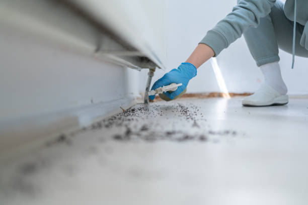 Best Cockroach Control Services  in Kiln, MS